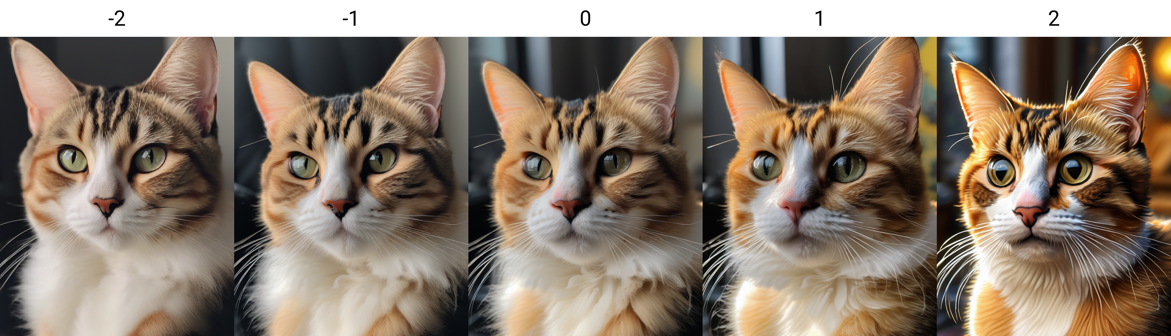 3817239402-close up of a cat,8K,masterpiece, best quality,_lora_XDetail_heavy_-2_.png